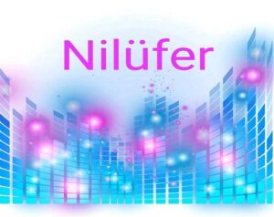 متن و ترجمه اهنگ Nilüfer – Boşver