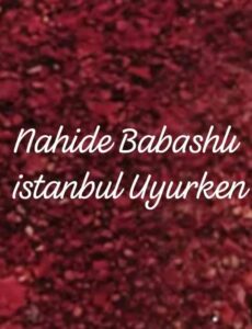 دانلود آهنگ Nahide Babashlı istanbul Uyurken + ترجمه