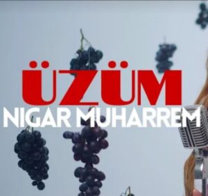 دانلود آهنگ Nigar Muharrem Üzüm + ترجمه