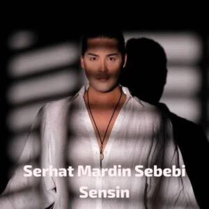 دانلود آهنگ Serhat Mardin Sebebi Sensin + ترجمه