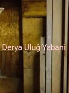 دانلود آهنگ Derya Uluğ Yabani + ترجمه