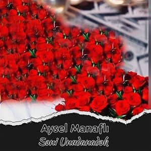 دانلود آهنگ Aysel Manafli Seni Unudanadek + ترجمه