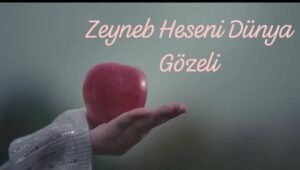 ترجمه آهنگ Zeyneb Heseni Dünya Gözeli