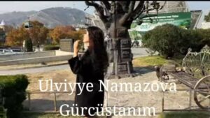 ترجمه آهنگ Ulviyye Namazova Gürcüstanım