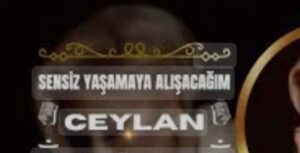 ترجمه آهنگ Ceylan Sensiz Yaşamaya Alışacağım