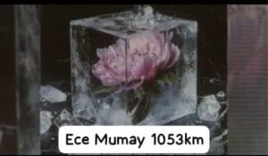 دانلود آهنگ Ece Mumay 1053km + ترجمه