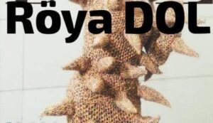 ترجمه آهنگ Röya DOL 