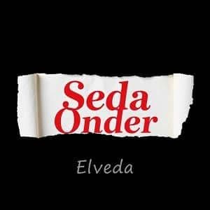 دانلود آهنگ Seda Önder Elveda + ترجمه