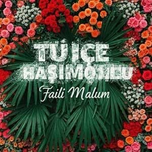 دانلود آهنگ Tuğçe Haşimoğlu Faili Malum + ترجمه