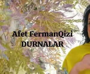 ترجمه آهنگ Afet FermanQizi DURNALAR