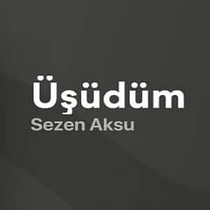 دانلود آهنگ Sezen Aksu Üşüdüm + ترجمه