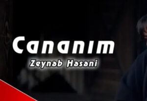 دانلود آهنگ Zeyneb Heseni Cananim + ترجمه