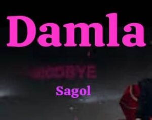 دانلود آهنگ Damla Sagol + ترجمه