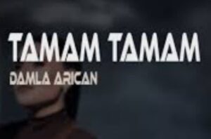 ترجمه آهنگ Damla Arıcan Tamam Tamam