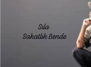 ترجمه آهنگ Sıla Sakatlık Bende