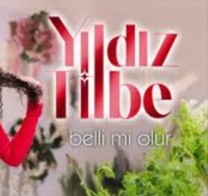 ترجمه آهنگ Yıldız Tilbe Belli mi Olur