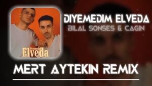دانلود آهنگ Bilal Sonses Diyemedim Elveda + ترجمه