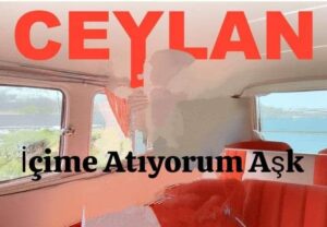 ترجمه آهنگ Ceylan İçime Atıyorum Aşk