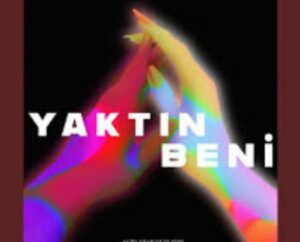 ترجمه آهنگ EDIS Yaktin Beni