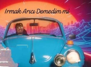 ترجمه آهنگ Irmak Arıcı Demedim mi