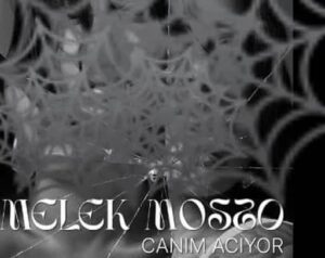 ترجمه آهنگ Melek Mosso Canim Aciyor