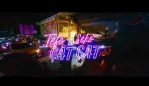ترجمه آهنگ Tefo & Seko ÇAT ÇAT