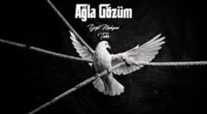 ترجمه آهنگ Yiğit Mahzuni Ağla Gözüm