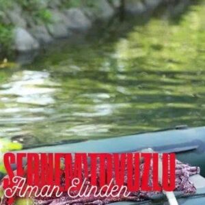 ترجمه آهنگ Şebnem Tovuzlu Aman Elinden