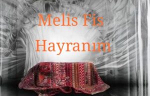 ترجمه آهنگ Melis Fis Hayranım