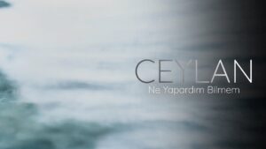ترجمه آهنگ Ceylan Ne Yapardım Bilmem