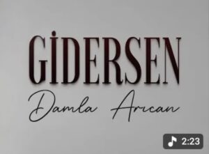 ترجمه آهنگ Damla Arıcan Gidersen