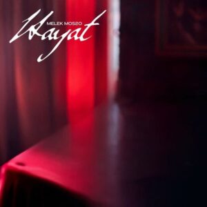 ترجمه آهنگ Melek Mosso Hayat