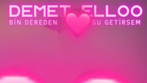 ترجمه آهنگ DEMET ELLOO Bin Dereden Su Getirsem