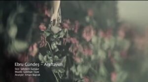 ترجمه آهنگ Ebru Gündeş Araftayım