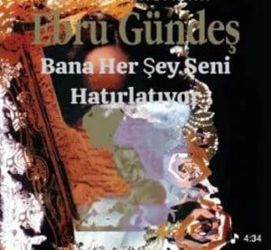 ترجمه آهنگ Ebru Gündeş Bana Her Şey Seni Hatırlatıyor