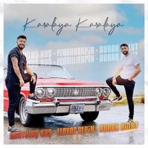 ترجمه آهنگ Feryal Sepin Karalaya Karalaya