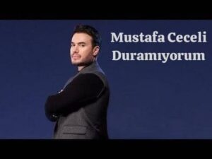 ترجمه آهنگ Mustafa Ceceli Duramıyorum