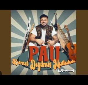 ترجمه آهنگ Pau Kısmet Değilmiş