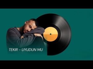 دانلود آهنگ Tekir Uyudun mu + ترجمه