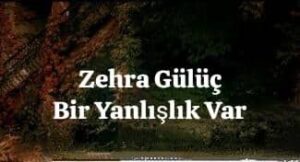 ترجمه آهنگ Zehra Gülüç Bir Yanlışlık Var