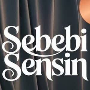 دانلود آهنگ Bengü Sebebi Sensin + ترجمه