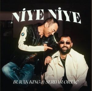 ترجمه آهنگ Serdar Ortac Niye Niye