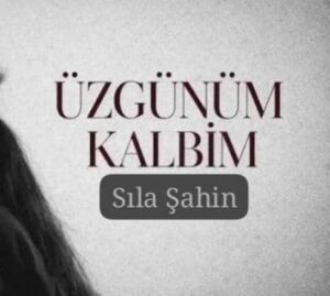 ترجمه آهنگ Sıla Şahin Üzgünüm