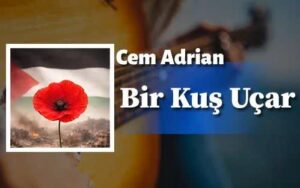 ترجمه آهنگ Cem Adrian Bir Kuş Uçar