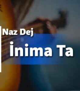 ترجمه آهنگ Naz Dej İnima Ta